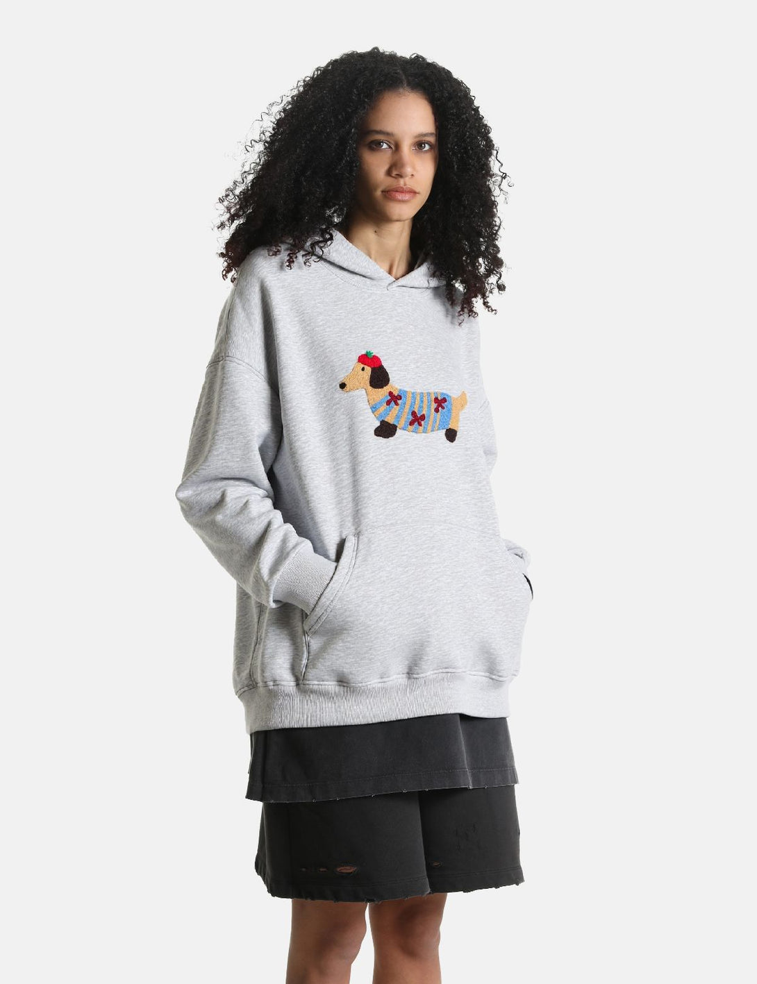 Fullneat Cartoon Dachshund Grey Hoodie​ - Grey Model Shown